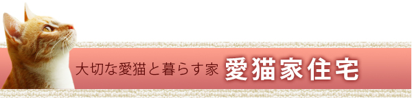 大切な愛猫と暮らす家　愛猫家住宅