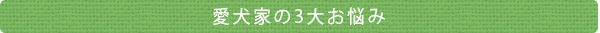 愛犬家の3大お悩み