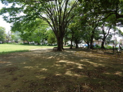 すべり台やブランコなどの遊具があり、小さなお子さんから小学生まで幅広い年齢層が楽しめます