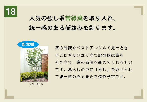 人気の癒やし系常緑葉を取り入れ、統一感のある街並みを創ります。